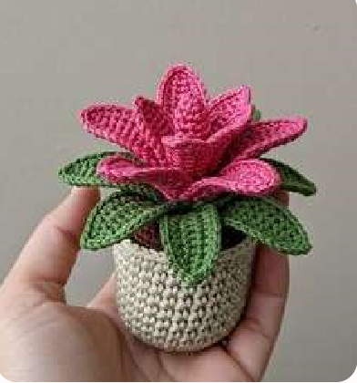 Bromeliaceae