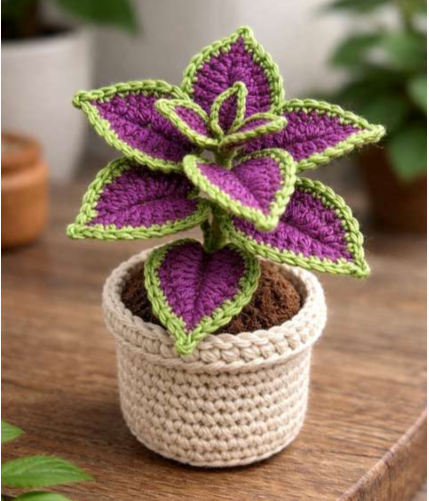 PLANTA COLEUS MINI